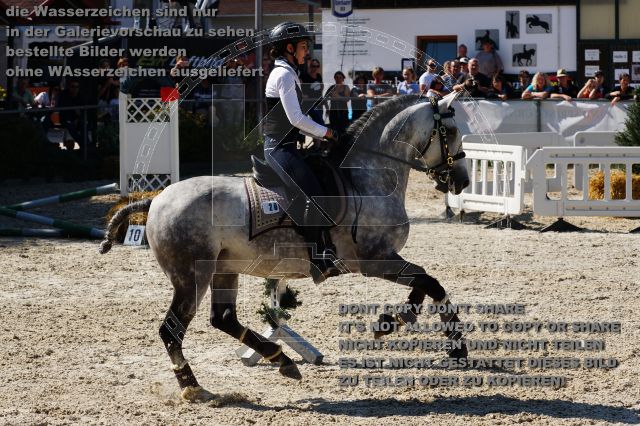 s_DSC05574.JPG